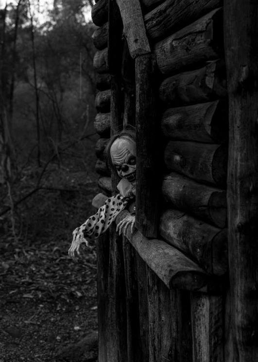 woods spooky wallpaper Maine Terrors Houses Night Woods Walk Haunted Haunted woods spooky wallpaper Maine Terrors Houses Night Woods Walk Haunted Haunted